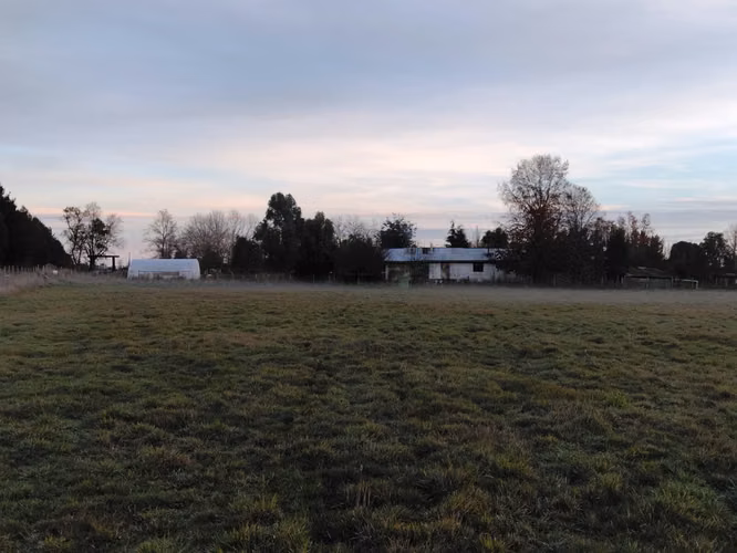 CAMPO DE 3 HECTÁREAS EN VENTA, SANTA REGINA, REGIÓN DE LOS RÍOS