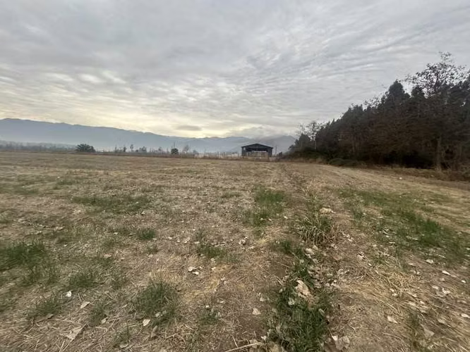 Terreno en Colonia Kenndy (183617)