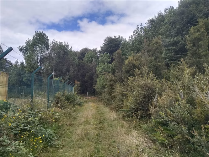 Sitio en venta en Calbuco - Imagen 2