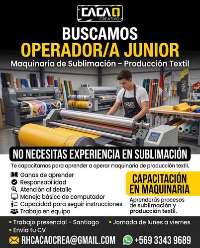 Operador Junior