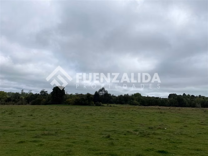 VENTA Parcela 1,2 Hectáreas Loncotoro - Imagen 3