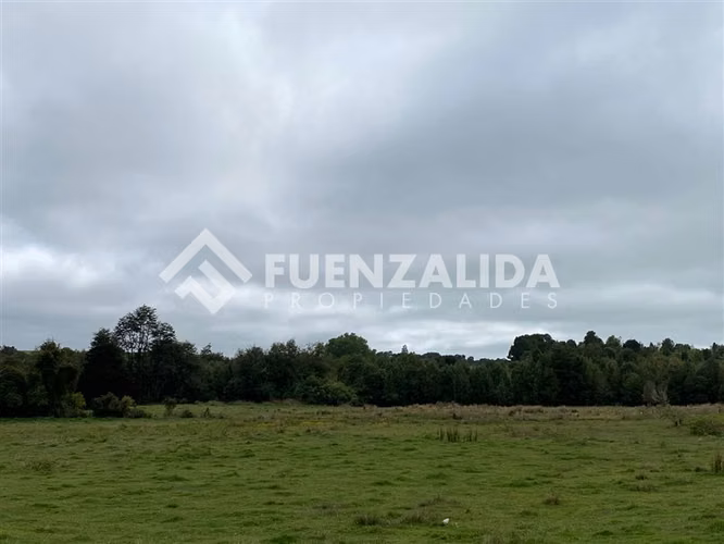 VENTA Parcela 1,2 Hectáreas Loncotoro - Imagen 6