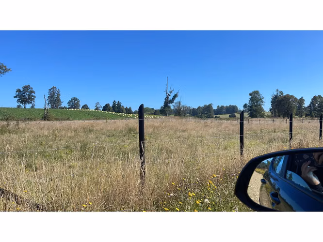 Se vende parcela de 5.000 m2 Fundo los troncos, sector Llico - Imagen 4