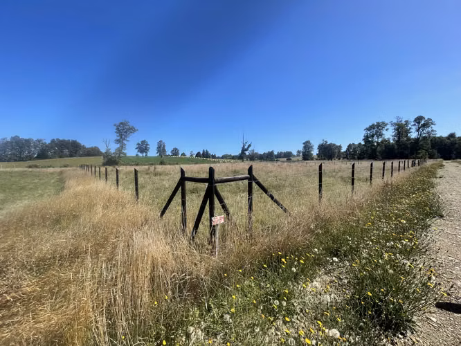 Se vende parcela de 5.000 m2 Fundo los troncos, sector Llico - Imagen 5