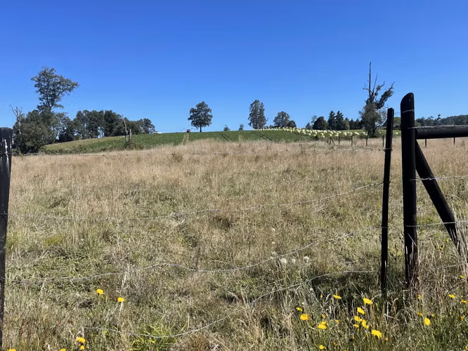 Se vende parcela de 5.000 m2 Fundo los troncos, sector Llico - Imagen 2