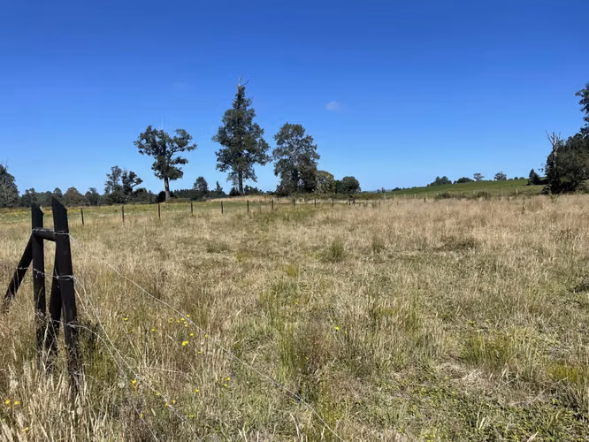 Se vende parcela de 5.000 m2 Fundo los troncos, sector Llico - Imagen 7