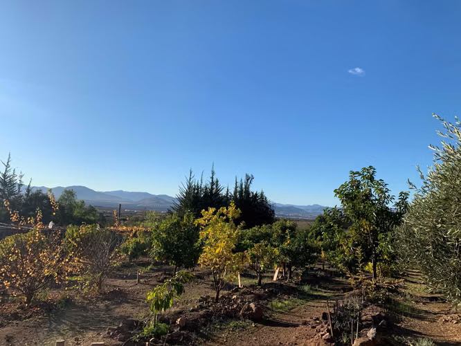 Preciosa Casa en Ovalle en Cond. Las Mollacas (183702)