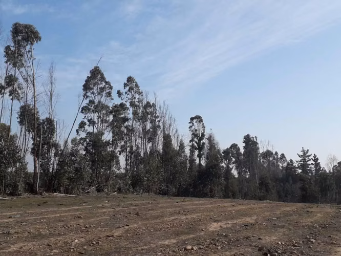 Venta de Parcela Campo Alegre Santo Domingo