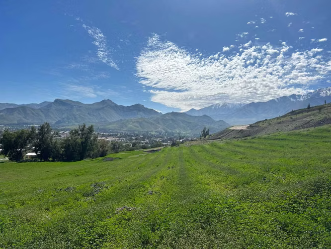HERMOSOS TERRENOS  (183747) - Imagen 4