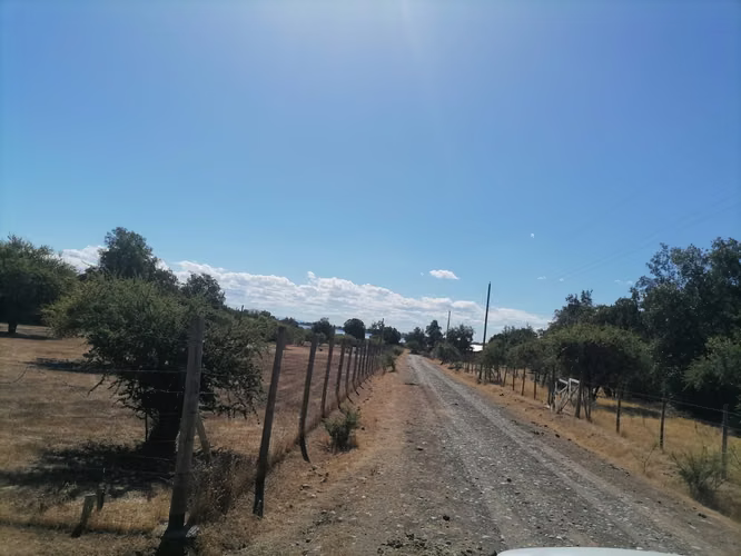 Parcela 5000 mt2 con acceso a lago recinto cerrado - Imagen 3