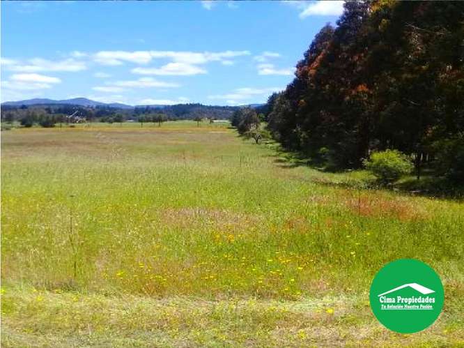 Hermosa Parcela San Nicolás, Sector Curica 5.000 m2
