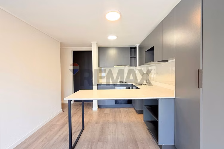 Arriendo 1d+1b con estac. y bodega santiago - Imagen 4