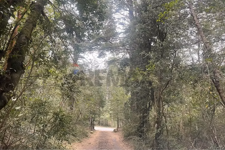 Venta terreno camino al volcan - Imagen 22