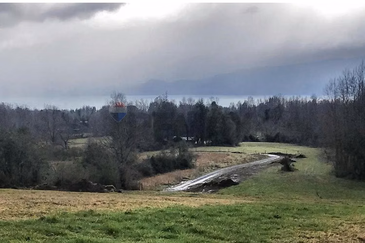 Venta de parcela de 5.000 m², pucon, vista al lago - Imagen 2