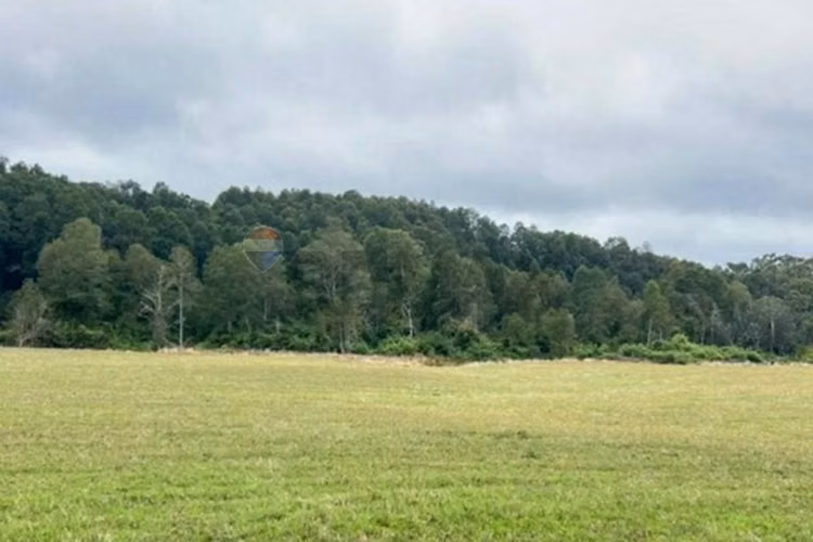 Venta parcela 5000 a orilla de río - Imagen 3