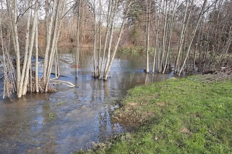 Venta parcela 5000 a orilla de río - Imagen 4