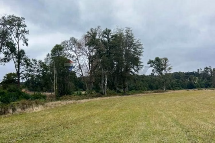 Venta parcela 5000 a orilla de río - Imagen 7