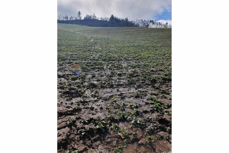 "invierte en terreno residencial en traiguén"