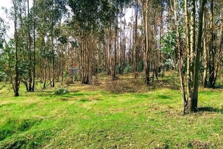 "invierte en terreno residencial en traiguén"
