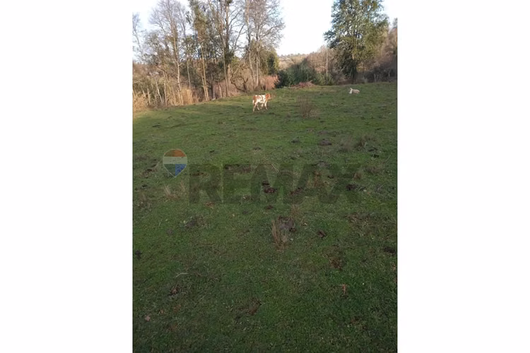 "invierte en terreno residencial en traiguén"