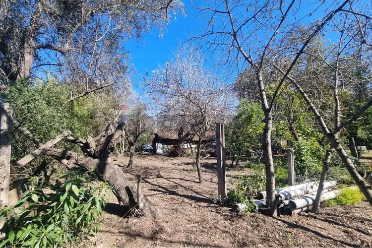 Amplia casa tipo parcela con gran terreno - Imagen 25