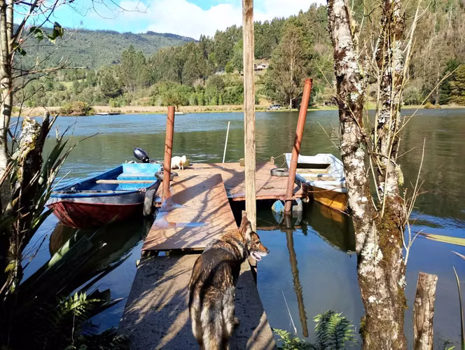 Inversión // 75 Hás // Agua // Gran casa (183763)