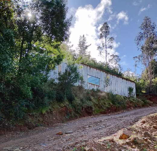 Inversión // 75 Hás // Agua // Gran casa (183763) - Imagen 19