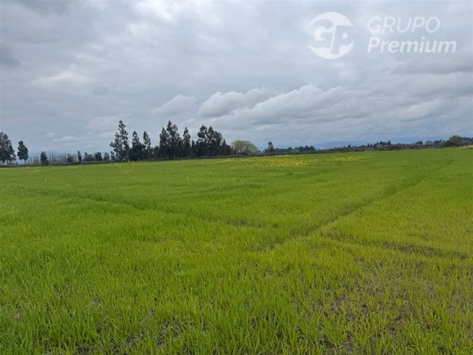 Parcela en venta en Peralillo - Imagen 3