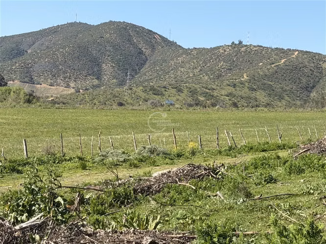 Agrícola en arriendo en Melipilla - Imagen 7