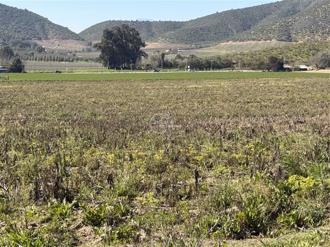 Agrícola en arriendo en Melipilla - Imagen 8