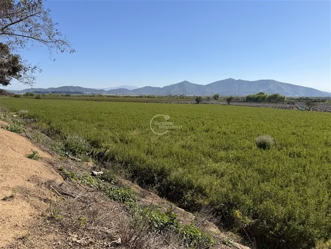Agrícola en arriendo en Melipilla