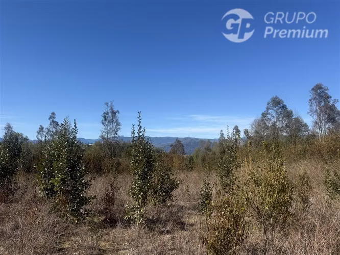 Parcela en venta en Villarrica - Imagen 6