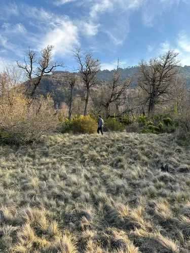 5.000 m², río Caracoles, seguridad y luz (183303)