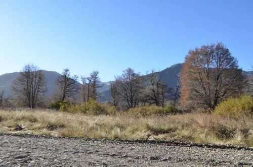 5.000 m², río Caracoles, seguridad y luz (183303)