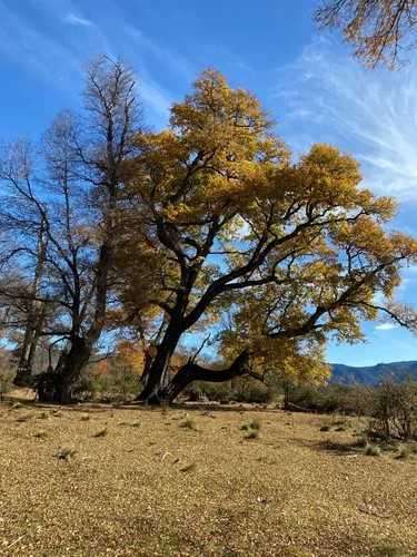 Desde UF 1.345, 2da etapa 90% vendida (183303) - Imagen 3