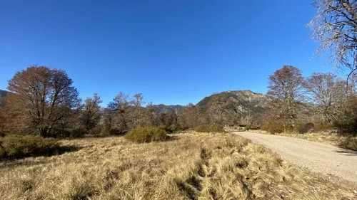 5.000 m², río Caracoles, seguridad y luz (183303)