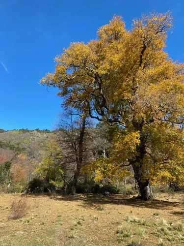5.000 m², río Caracoles, seguridad y luz (183303)