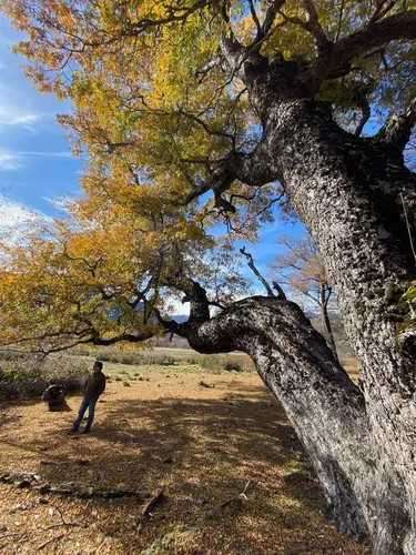 Desde UF 1.345, 2da etapa 90% vendida (183303) - Imagen 6