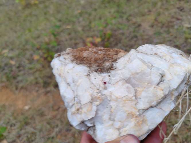 MARA CAMPO DE 18,6 HECTÁREAS CON BOSQUE NATIVO EN