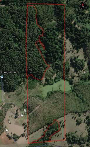 MARA CAMPO DE 18,6 HECTÁREAS CON BOSQUE NATIVO EN