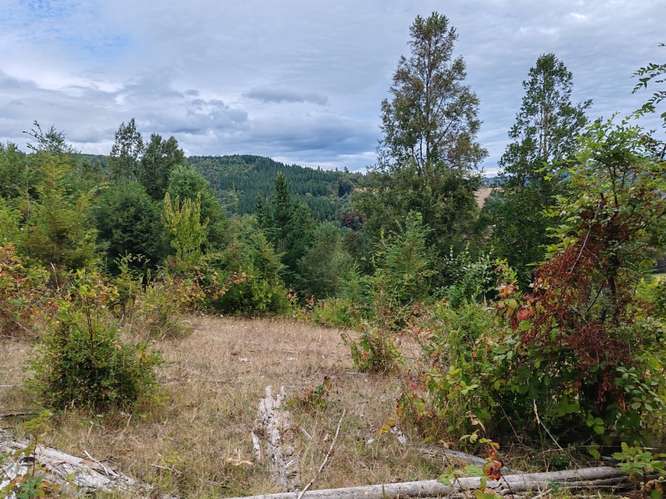 MARA CAMPO DE 18,6 HECTÁREAS CON BOSQUE NATIVO EN