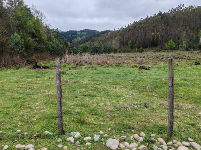 MARA CAMPO DE 18,6 HECTÁREAS CON BOSQUE NATIVO EN