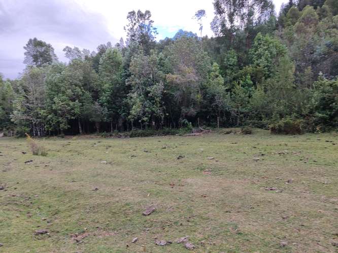 MARA CAMPO DE 18,6 HECTÁREAS CON BOSQUE NATIVO EN