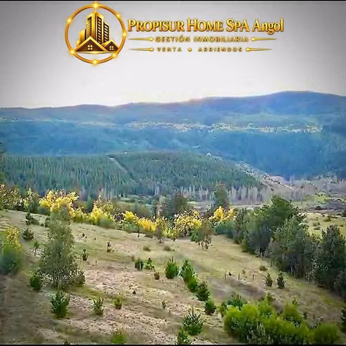 Parcela 5.050 m² en Angol | Sector El Rosario (183853)