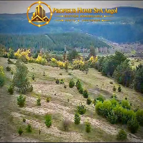 Parcela 5.050 m² en Angol | Sector El Rosario (183853)