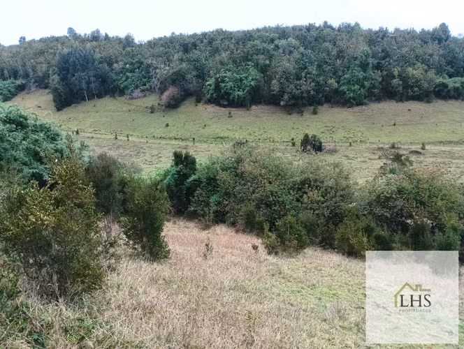 4,49 Ha en Quinchao | Vista al Mar, Agua y Acceso Pavimentado