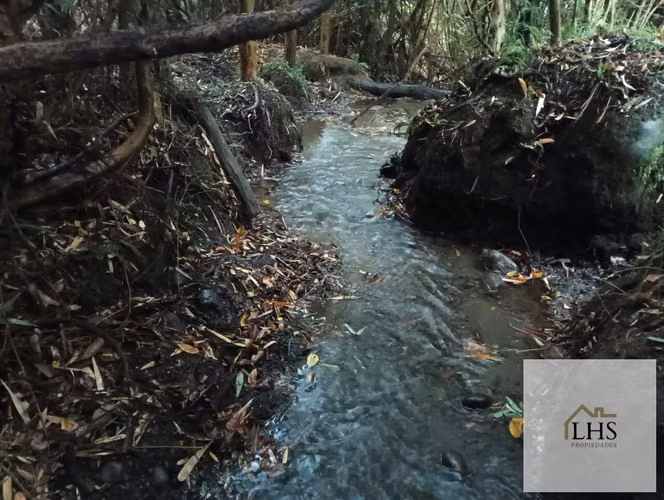 4,49 Ha en Quinchao | Vista al Mar, Agua y Acceso Pavimentado