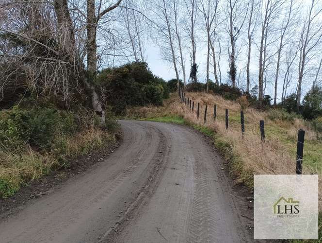 4. 4,49 Ha en Quinchao | Acceso pavimentado, factibilidad eléctrica y vertientes