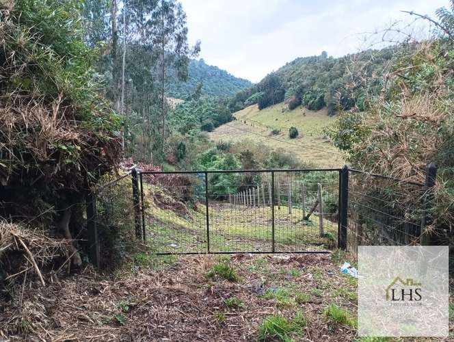 4. 4,49 Ha en Quinchao | Acceso pavimentado, factibilidad eléctrica y vertientes