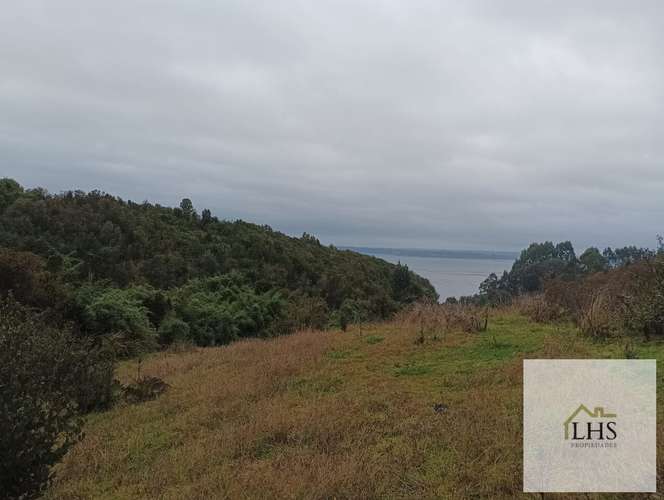 4. 4,49 Ha en Quinchao | Acceso pavimentado, factibilidad eléctrica y vertientes